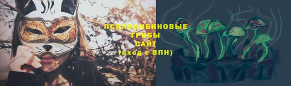 ешки Лагань