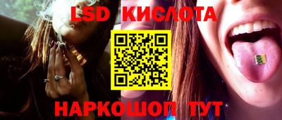 прущие грибы Будённовск