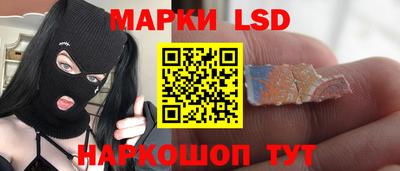прущие грибы Будённовск