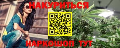 прущие грибы Будённовск