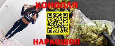 прущие грибы Будённовск