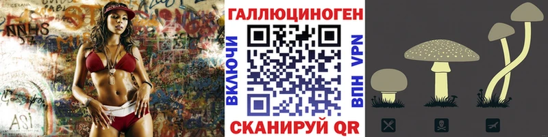 магазин продажи наркотиков  Красный Сулин  kraken   Галлюциногенные грибы прущие грибы 