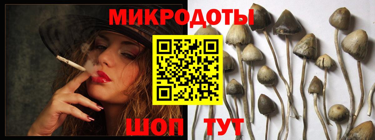 Галлюциногенные грибы ЛСД  Вход с VPN  Галлюциногенные грибы ЛСД  Красный Сулин 