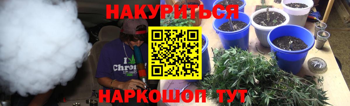 Шишки марихуана OG Kush Красный Сулин